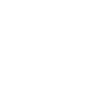 Lungs icon