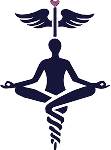PTSO Logo